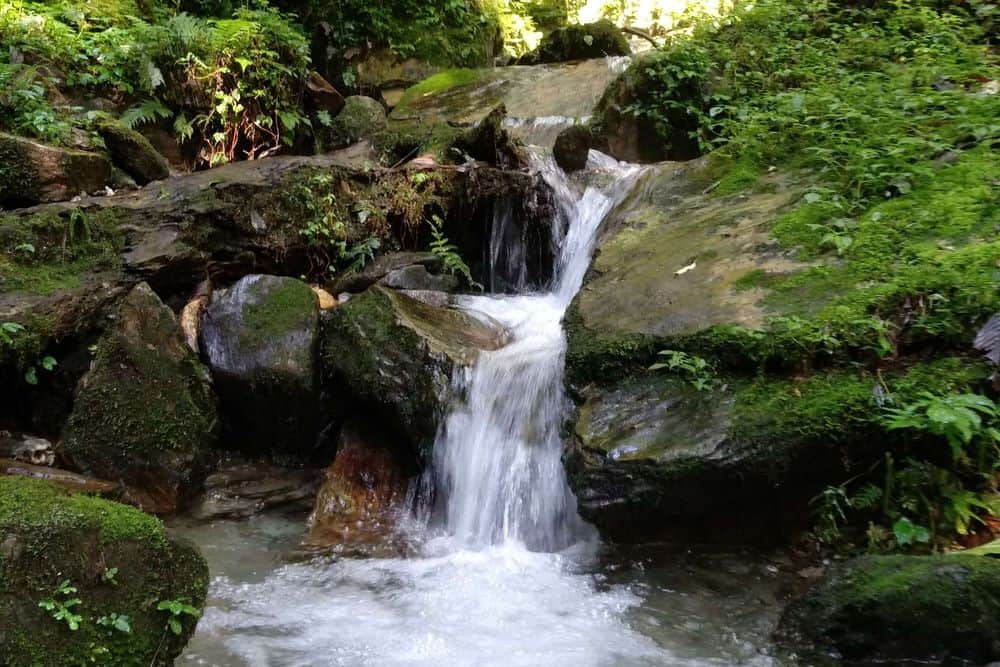 7 Day Awakening Yoga Meditation Trek in the Himalayas of Nepal 7