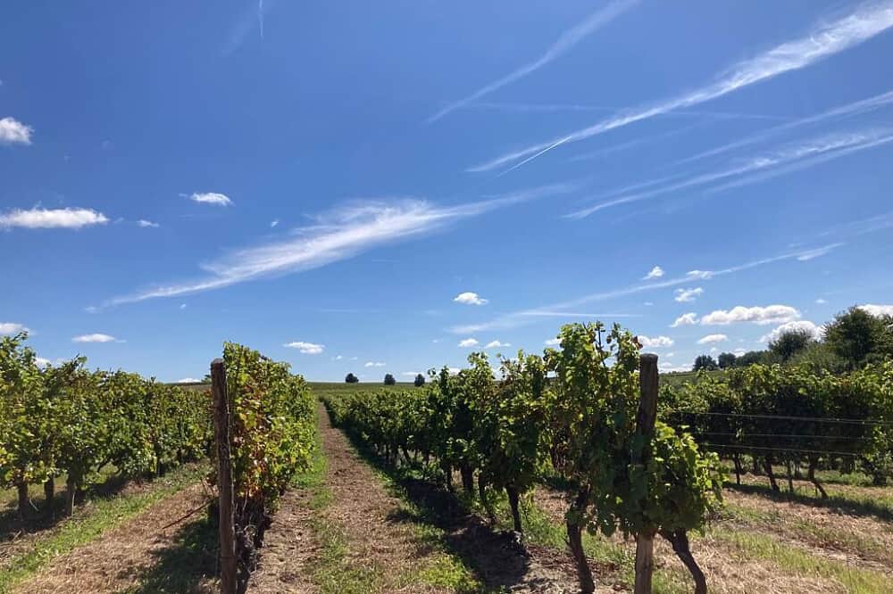 5 Day Walk the Camino de Santiago in southwest France 4