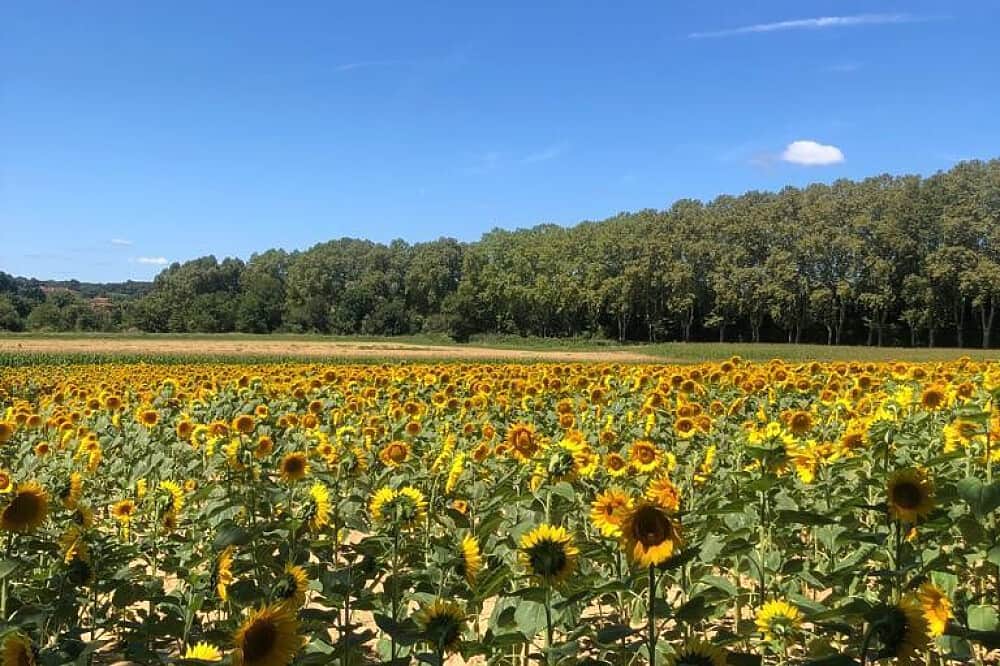 5 Day Walk the Camino de Santiago in southwest France 5