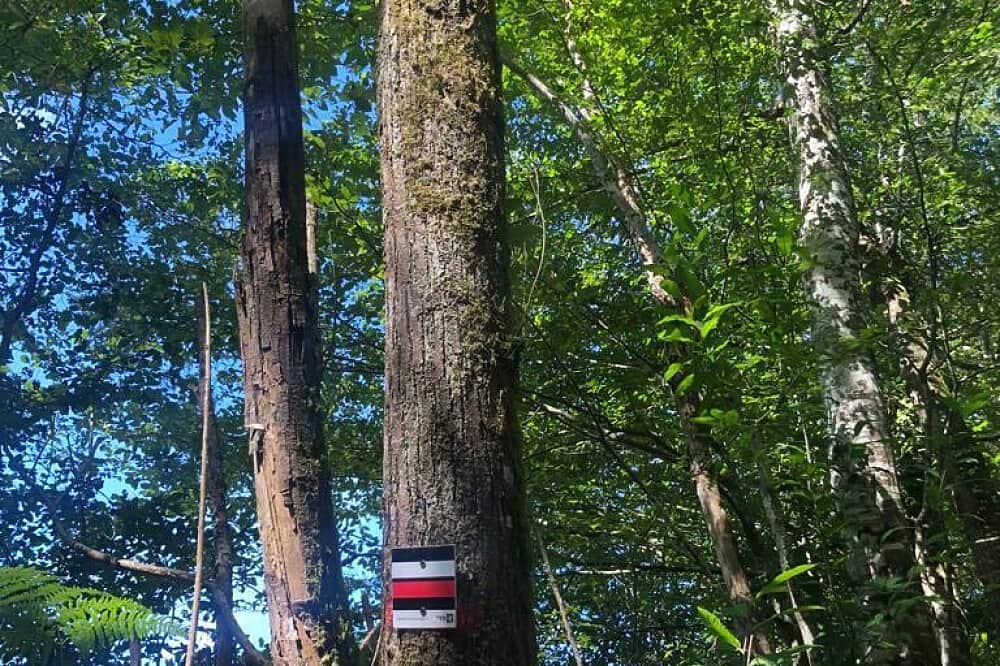 5 Day Walk the Camino de Santiago in southwest France 7