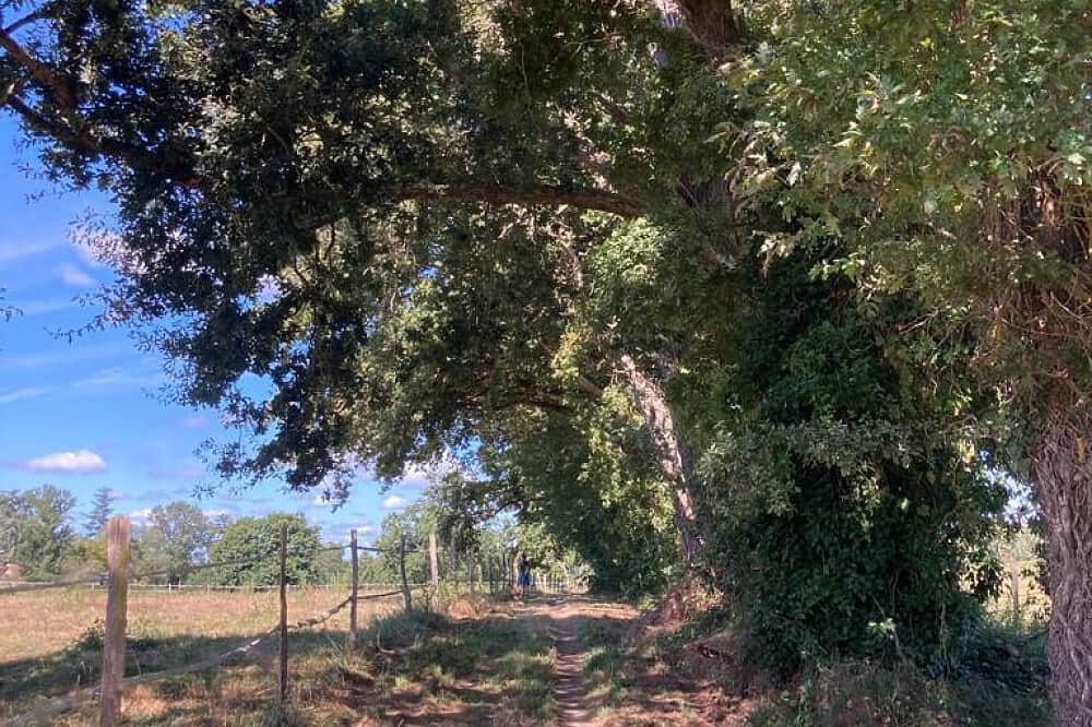 5 Day Walk the Camino de Santiago in southwest France 8