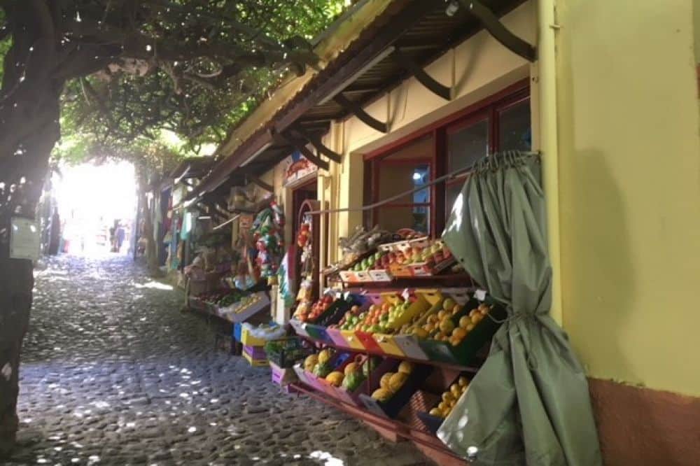 8 Day 50+ Pilates & Yin Yoga Retreat on Peaceful Lesbos, Greece 6