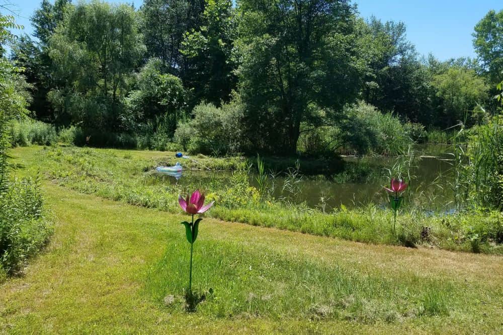 4 Day Personal Bespoke Wellness Retreats with Dr. Carla, NY 2