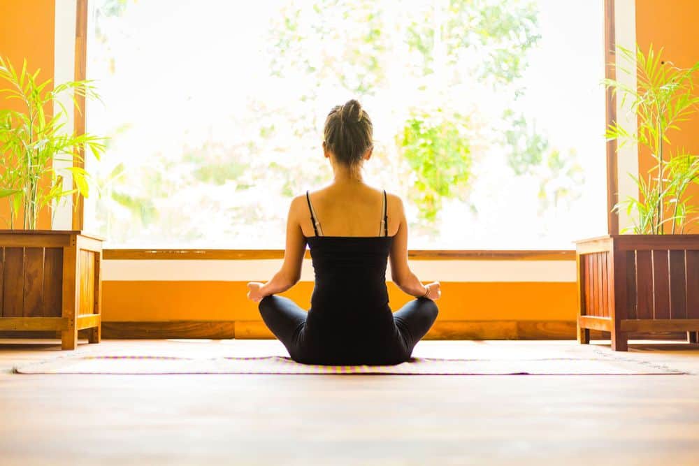 8 Day Luxury Ayurveda Retreat Along The Backwaters, Kerala, India 2