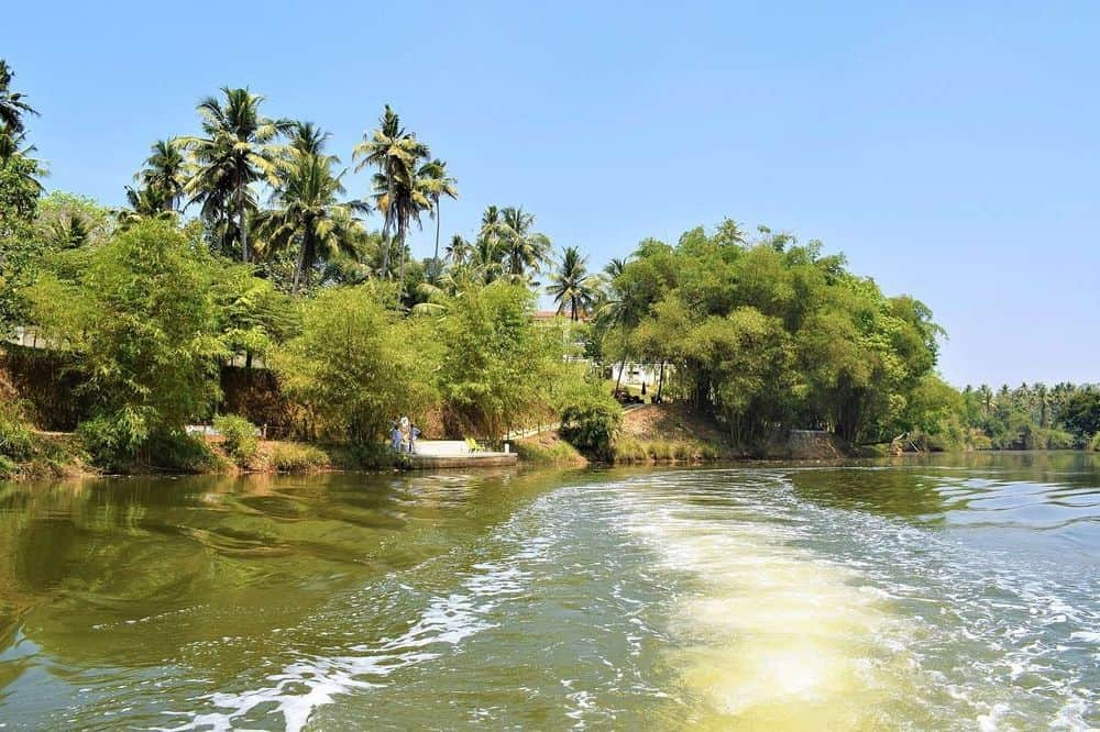 8 Day Luxury Ayurveda Retreat Along The Backwaters, Kerala, India 5
