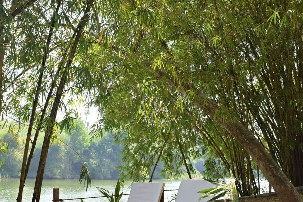 8 Day Luxury Ayurveda Retreat Along The Backwaters, Kerala, India 7