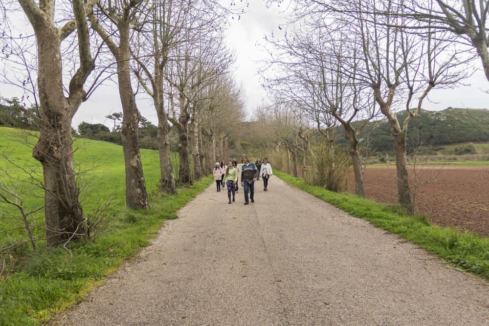 8 Day Surf & Yoga Retreat in Santa Cruz, Portugal 7