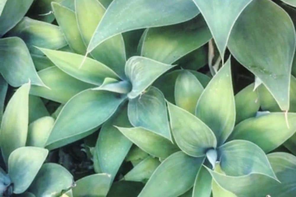 11 Day Abode Natural Therapy, Ayurveda Ytt &Nature Ceremony, Bali 7