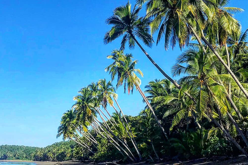 7 Day Ayurveda Fundamentals Training & Retreat in Costa Rica 6