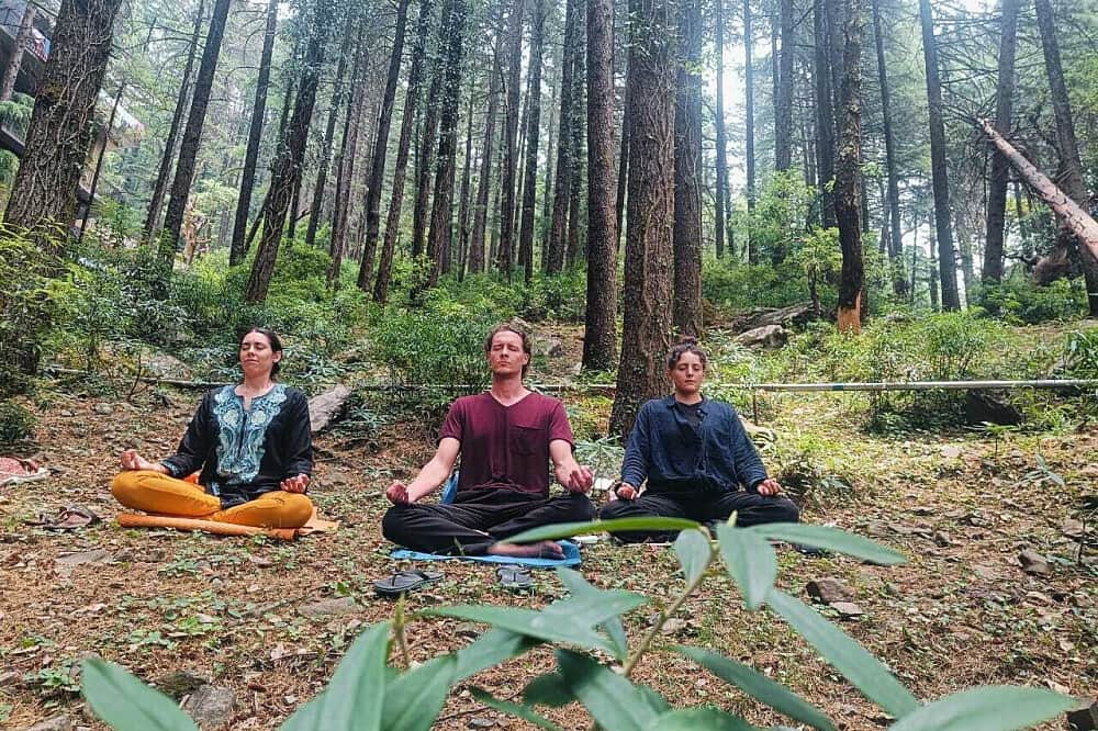 7 Day Yoga Holiday and Meditation Retreat in Dharamsala, India 2