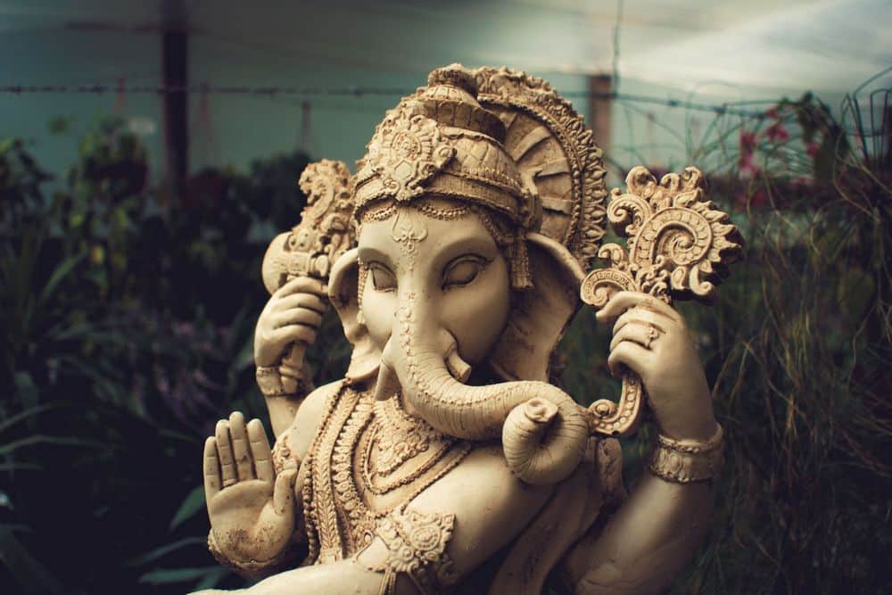 7 Day Private or Small Group YTT in the Mountains of Panama 8