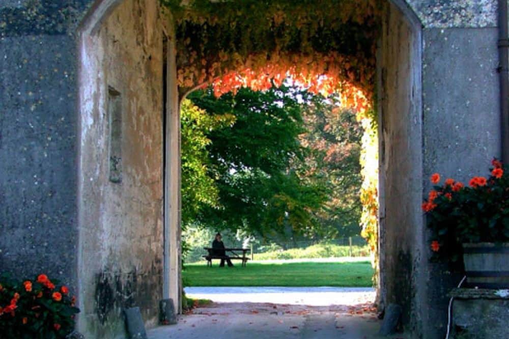 8 Day Luxury Adventure Through History Women's Retreat in the West of Ireland 5