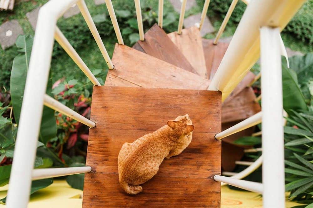 5 Day Vibrance Private Yoga Therapy Retreat in Ubud, Bali 8