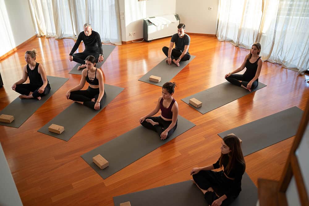 21 Day 200H RYT Prof. Yoga Therapy Teacher Certification, Greece 3