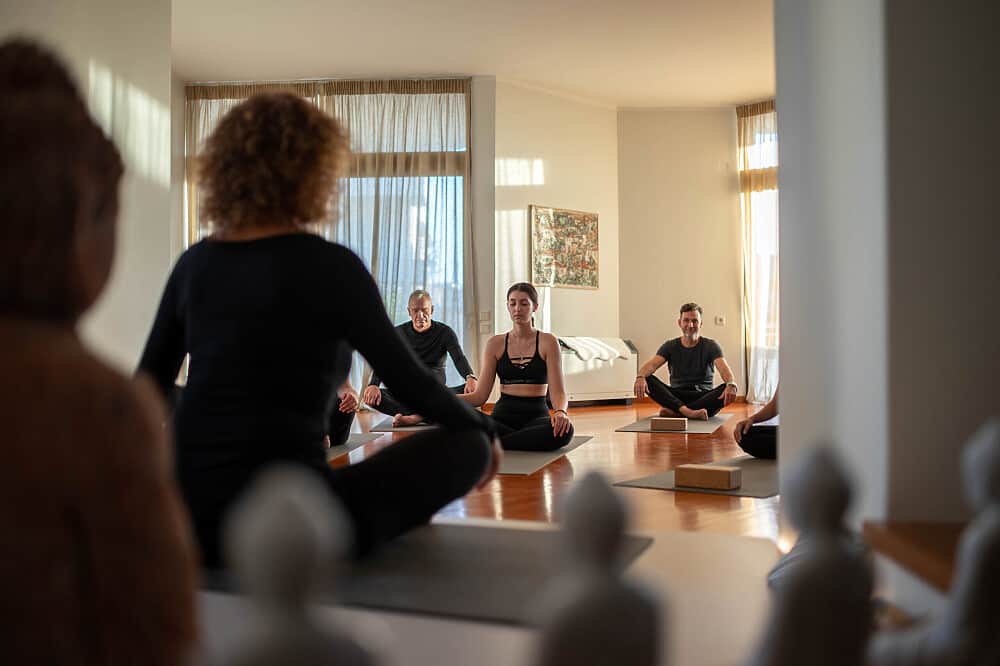 21 Day 200H RYT Prof. Yoga Therapy Teacher Certification, Greece 4