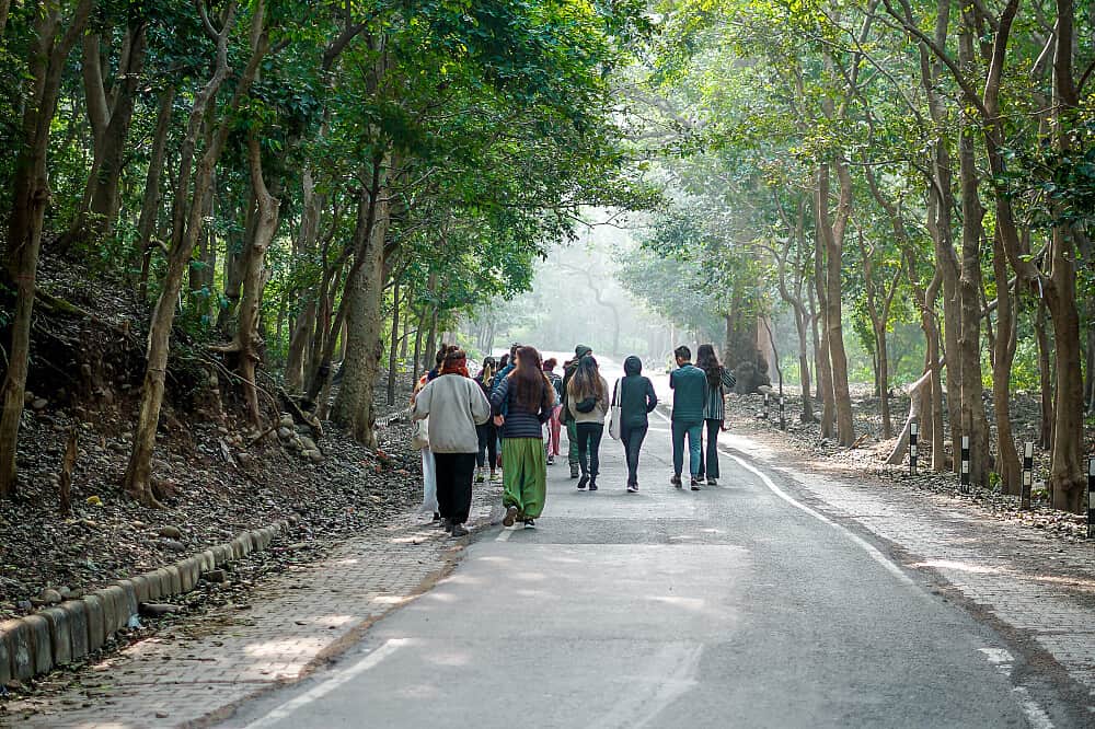 28 Day 200-Hour Holistic Yoga Teacher Training in Rishikesh 7