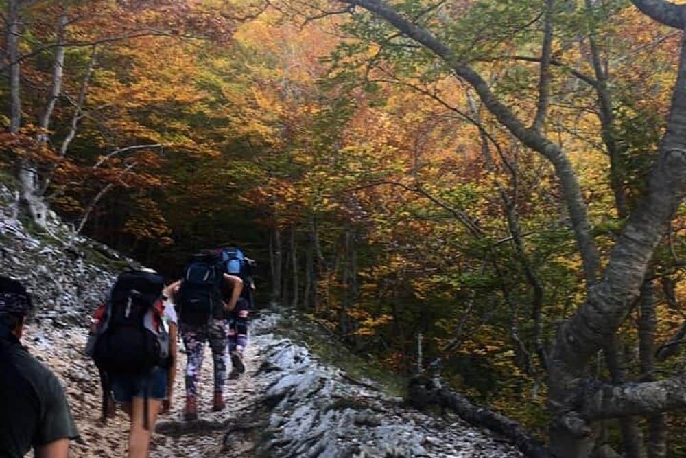 4 Day Authentic Farm Experience and Yoga Holiday in Italy 4