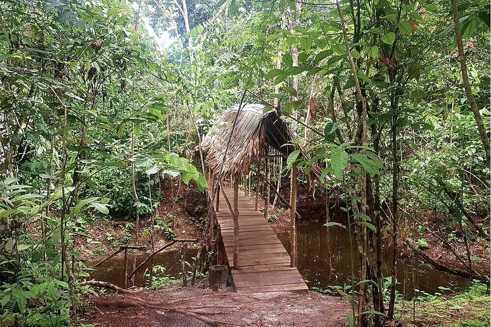 7 Day Digital Detox Yoga Retreat in the Amazon, Peru 5
