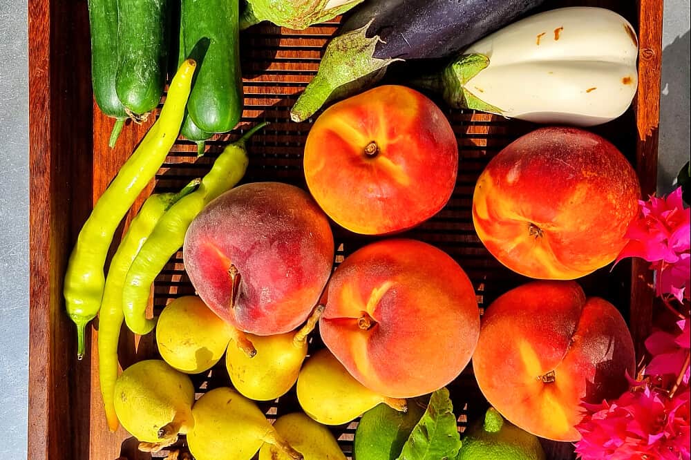 7 Day Luxury Hiking and Yoga Retreat by the Sea in Greece 8