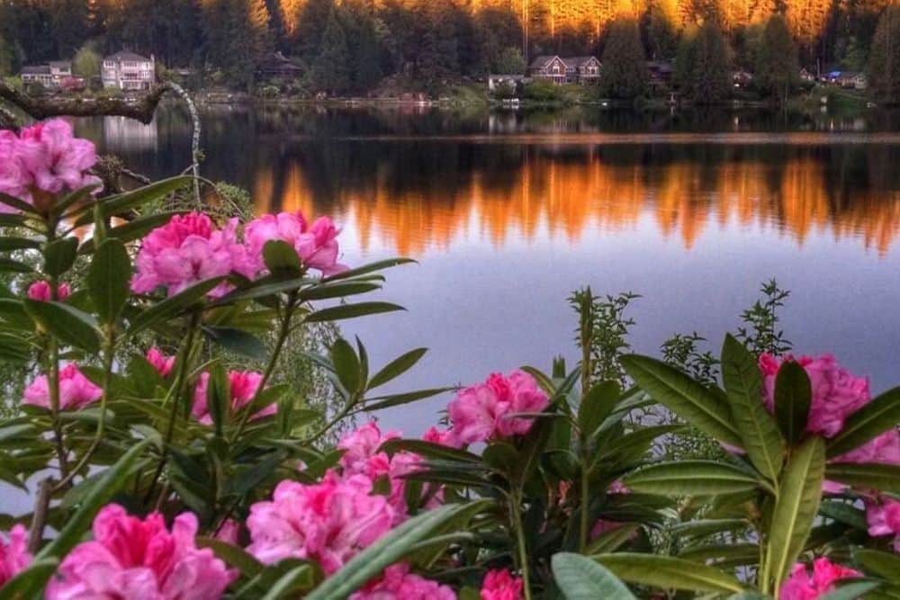 4 Day Cottage Lake B&B Silent Retreat, Washington US 4