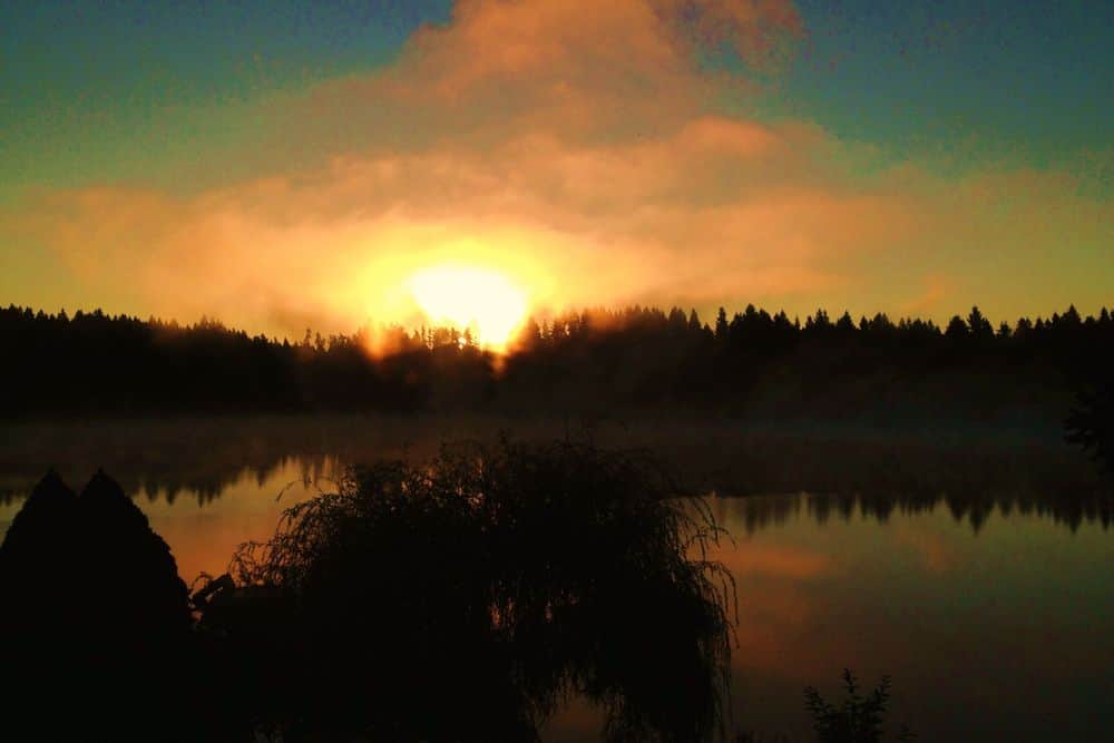 4 Day Cottage Lake B&B Silent Retreat, Washington US 5