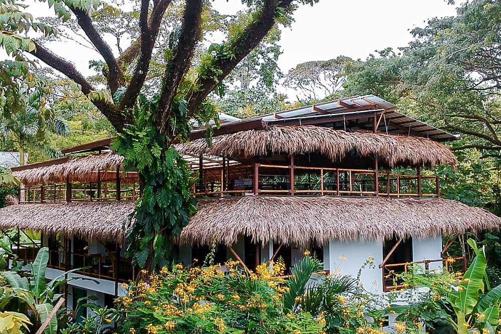7 Day Heal and Reset Yoga Meditation Retreat in Costa Rica 8