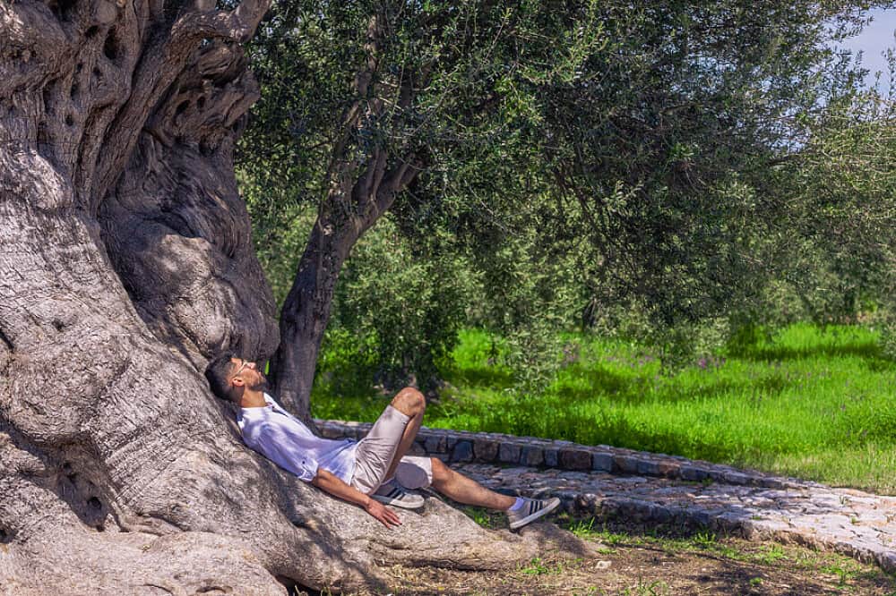 7 Day Self-Nourishment Winter Retreat in Thermal Springs, Greece 3