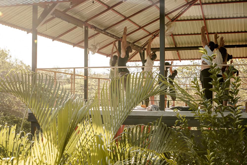 17 Day 200 Hr YogiBeYoga & Ayurveda Teacher Training, Costa Rica 2