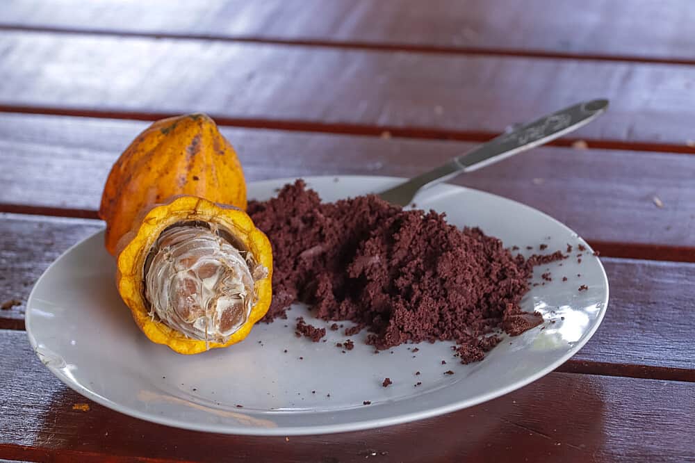 4 Day Private Rainforest Yoga Holiday in Lake Arenal, Costa Rica 3