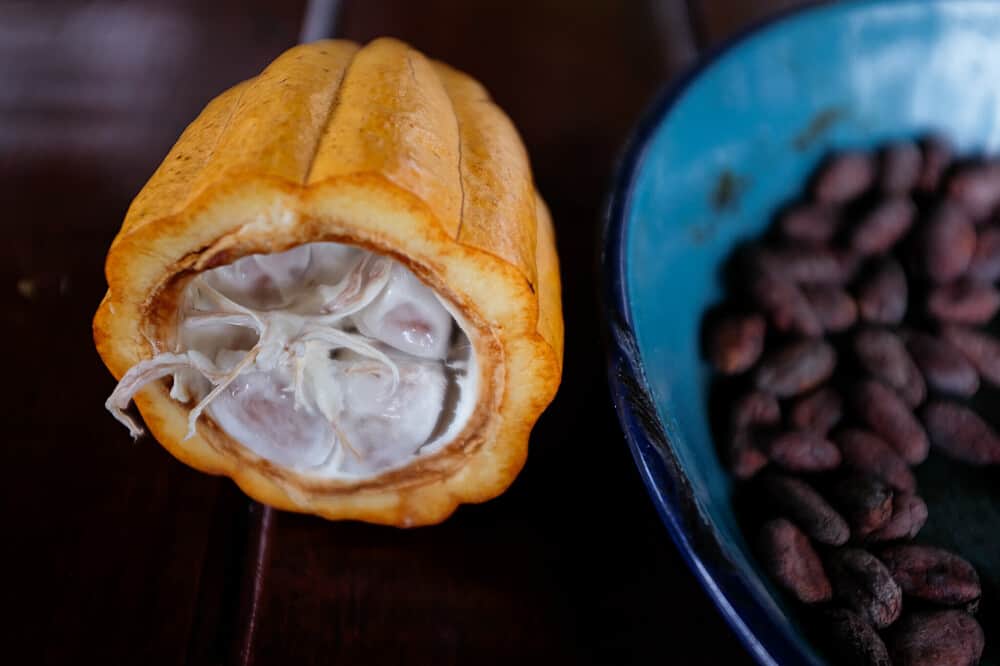 4 Day Private Rainforest Yoga Holiday in Lake Arenal, Costa Rica 6