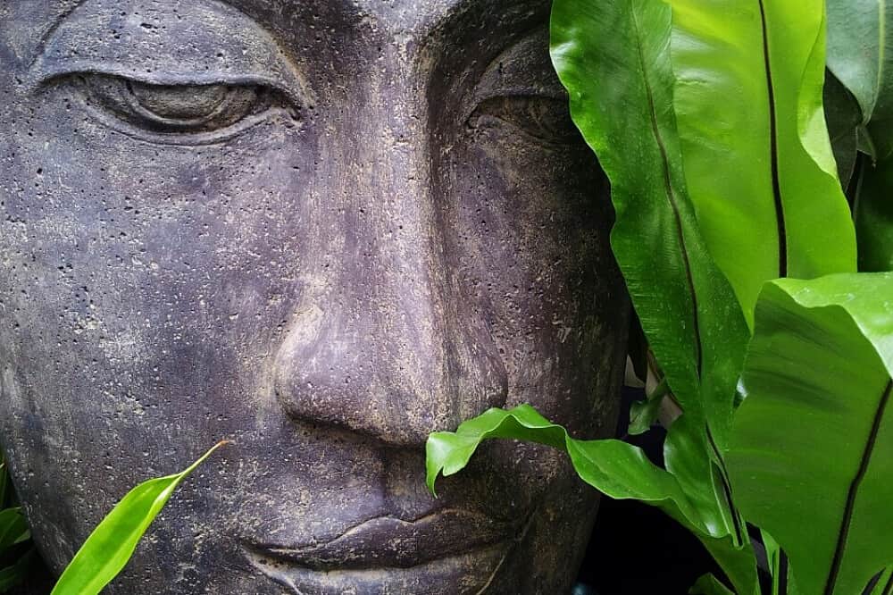 20 Day 200 Hour Yin Yoga & Meditation Teacher Training, Bali 6