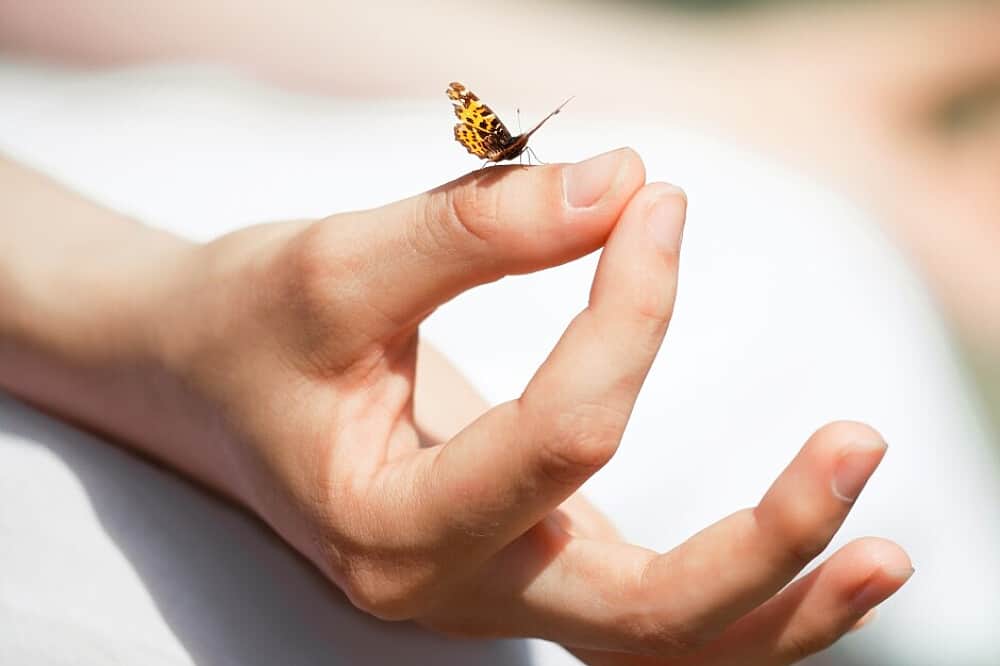 20 Day 200 Hour Yin Yoga & Meditation Teacher Training, Bali 1