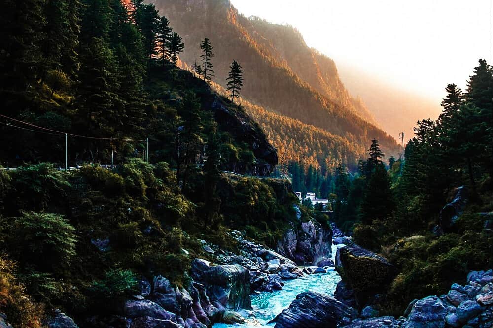 6 Day Mind & Body Detox: Yoga & Meditation Retreat in India 2