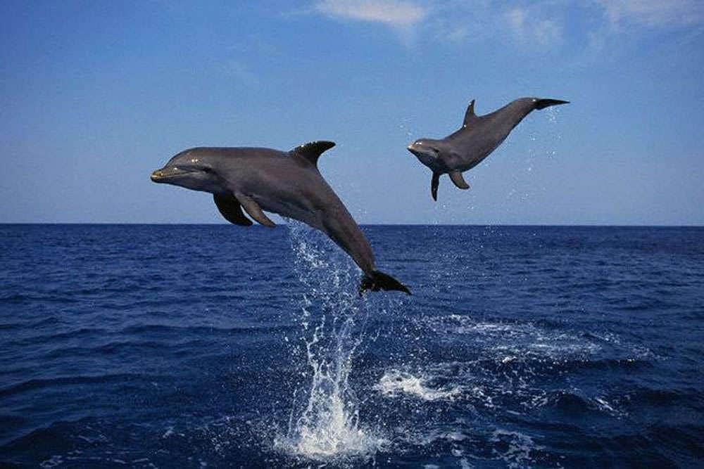 10 Day Nurturing Yoga and Massage Holiday in Mystical Bali 4