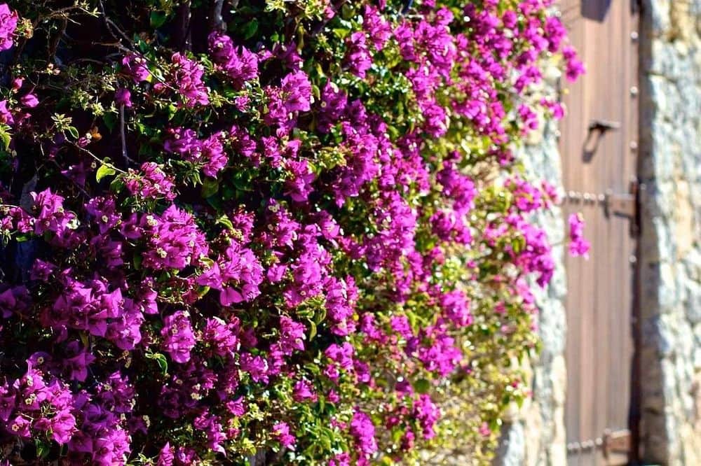 3 Day Take Your Relationship to the Next Level Retreat, Ibiza 2