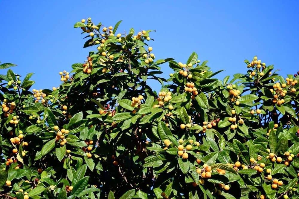 3 Day Take Your Relationship to the Next Level Retreat, Ibiza 6