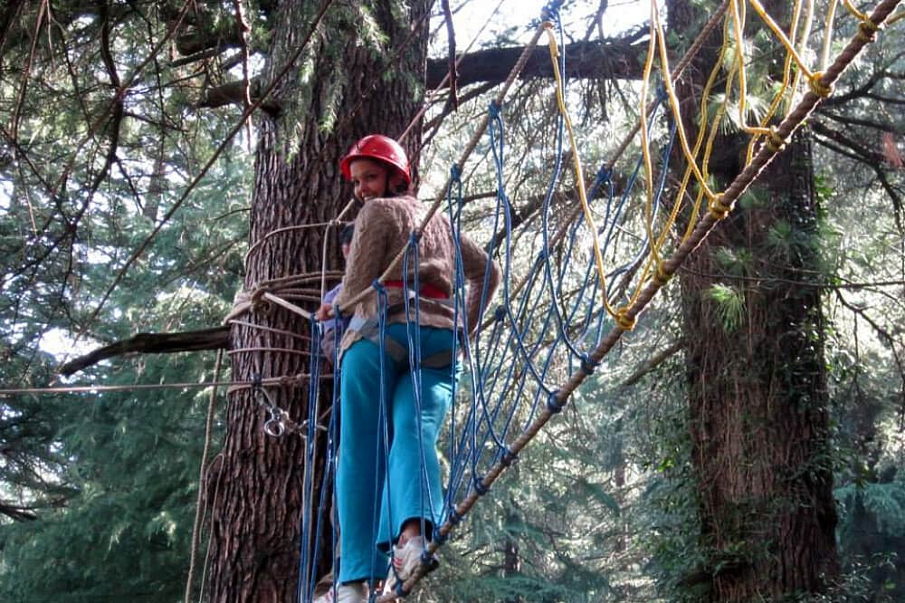 10 Day Transformational Yogic Journey in Dharamshala, India 7