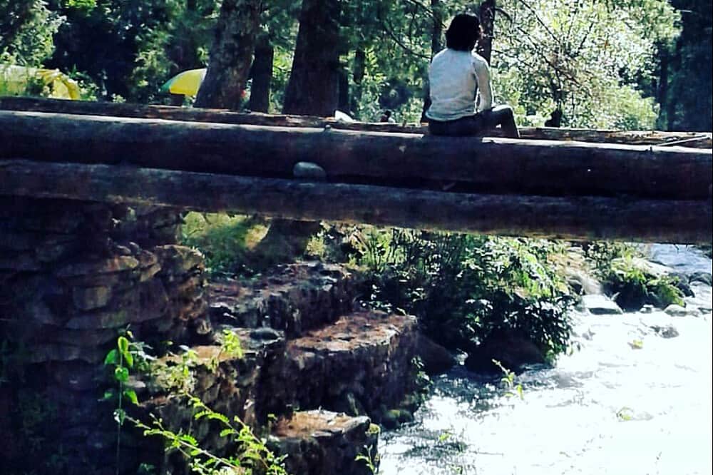 10 Day Transformational Yogic Journey in Dharamshala, India 5