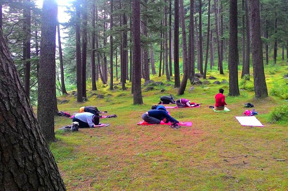 10 Day Transformational Yogic Journey in Dharamshala, India 3