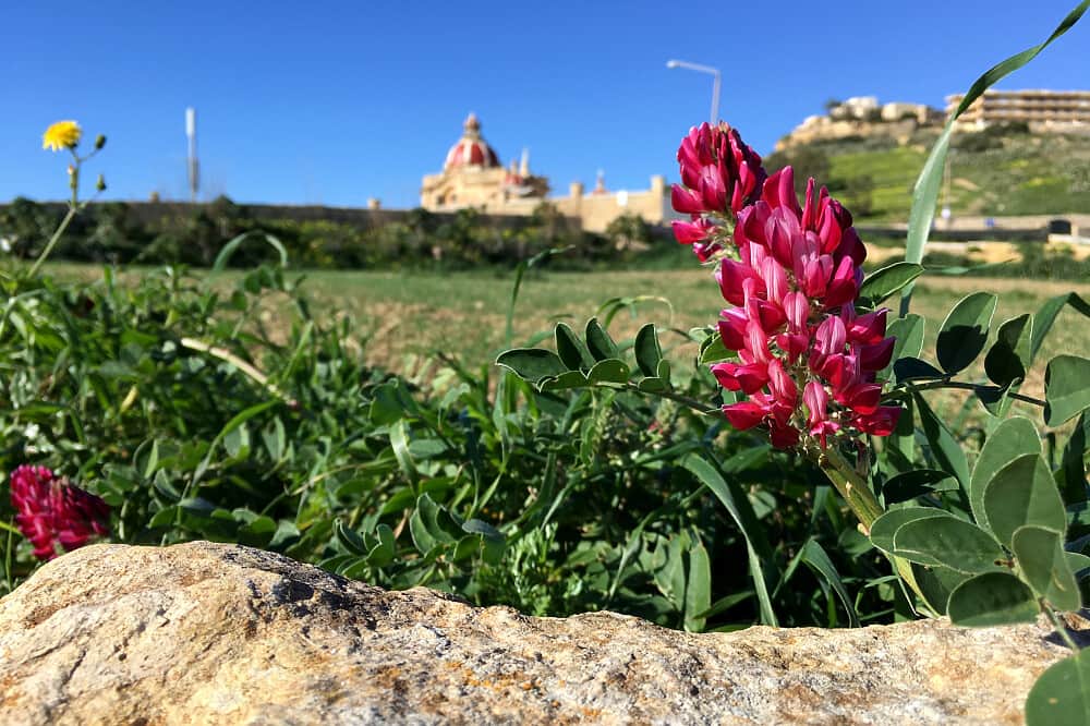 8 Day Yin Yoga and Breath Work Teacher Training in Gozo, Malta 4