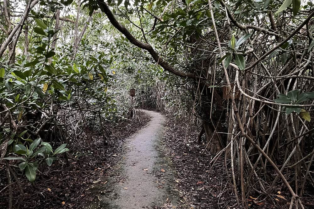 5 Day Ancestral Connection Through The Elements in Tulum, Mexico 6
