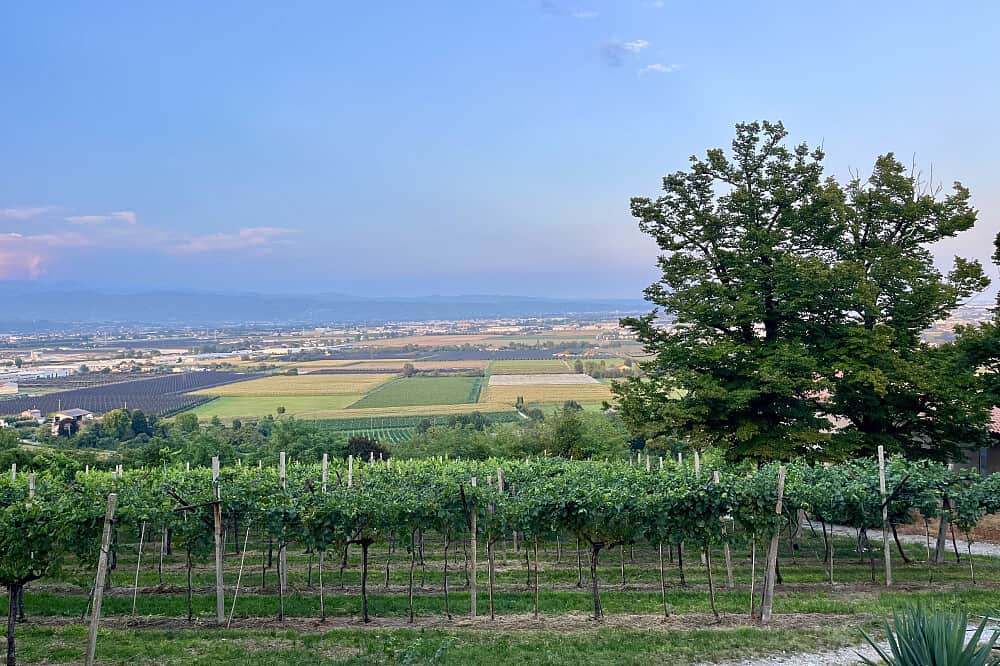 14 Day 200 Hour Vinyasa Yoga Teacher Training Certification,Italy 4