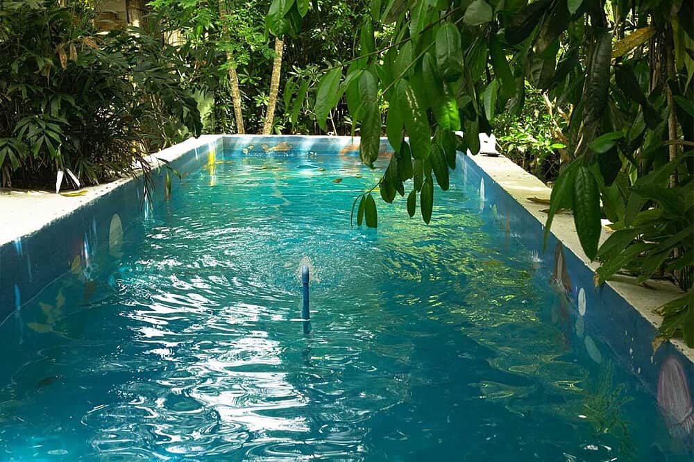 18 Day 200 Hour Yoga Teacher Training in Koh Phangan, Thailand 4