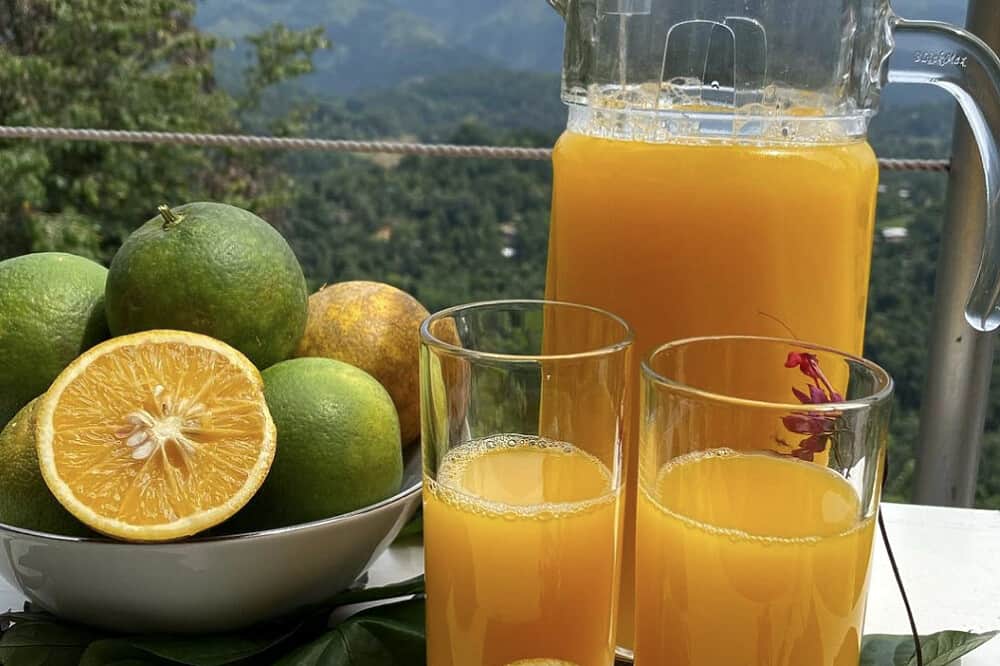 7 Day Creative Art, Dance and Yoga Retreat in Sri Lanka 5