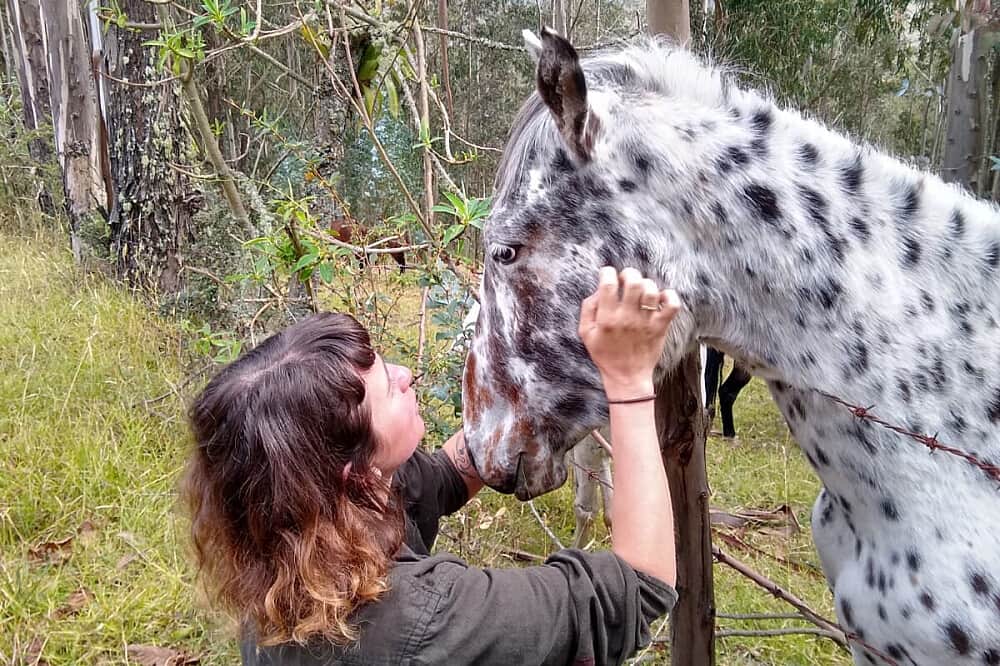 28 Day 200-Hour Multi-Style YTTC Los Andes, Ecuador 5