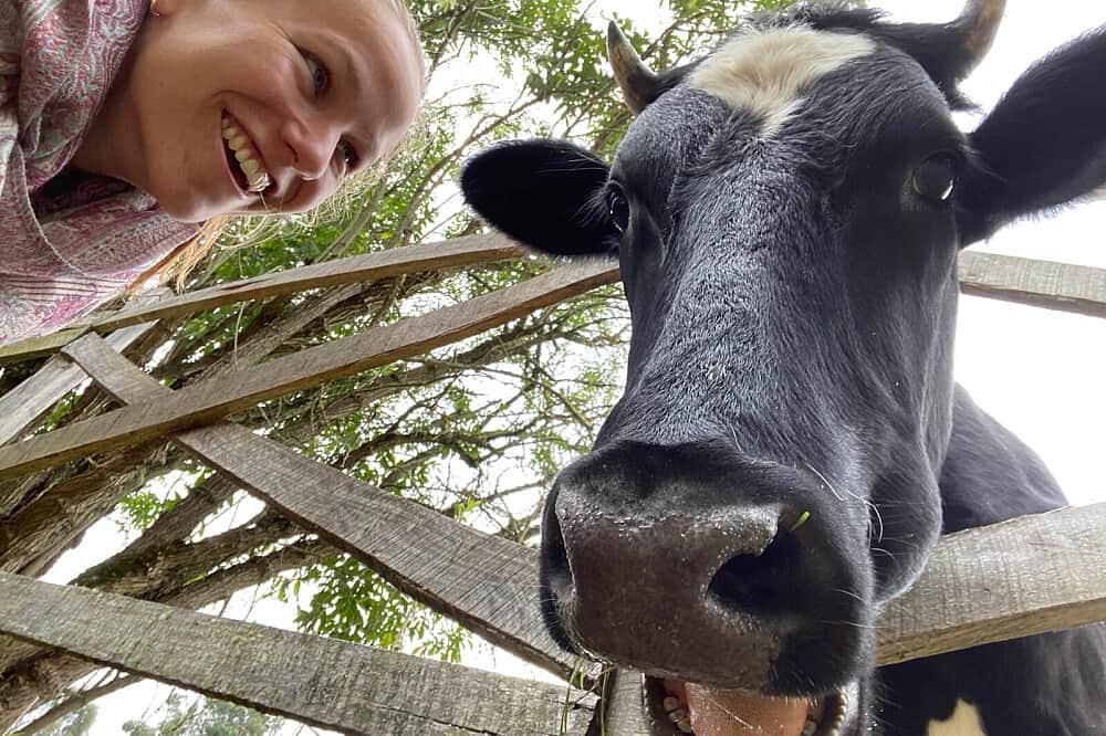 28 Day 200-Hour Multi-Style YTTC Los Andes, Ecuador 7