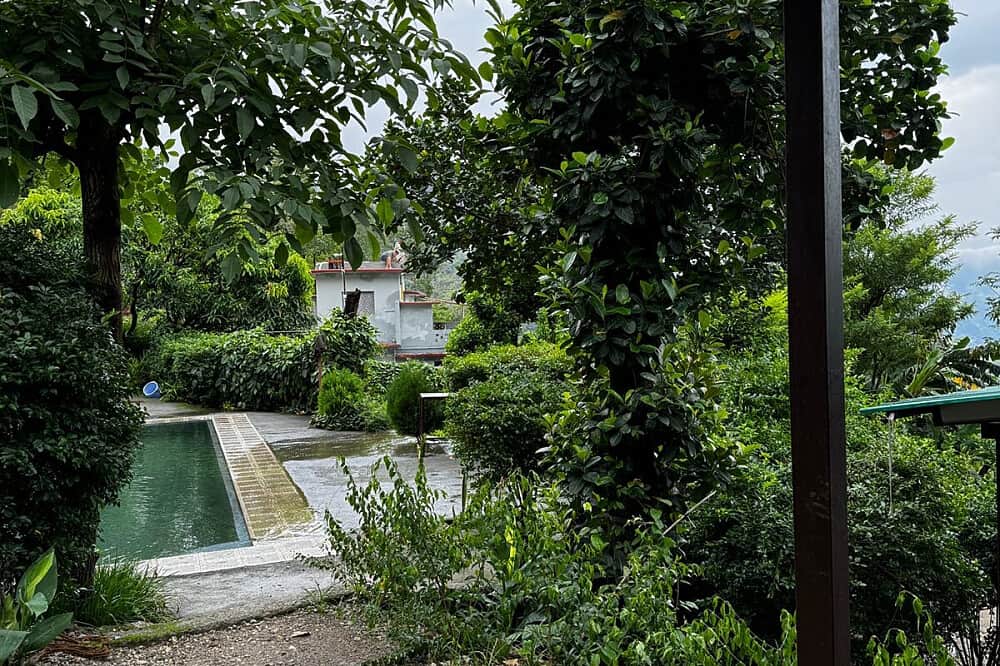 6 Day The Surrender - Yoga & Meditation Retreat, Rishikesh, India 6