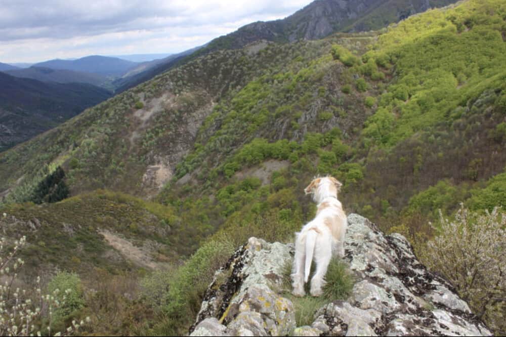 8 Day Back to Self SOLO Retreat, Ardeche Mountains, France 4