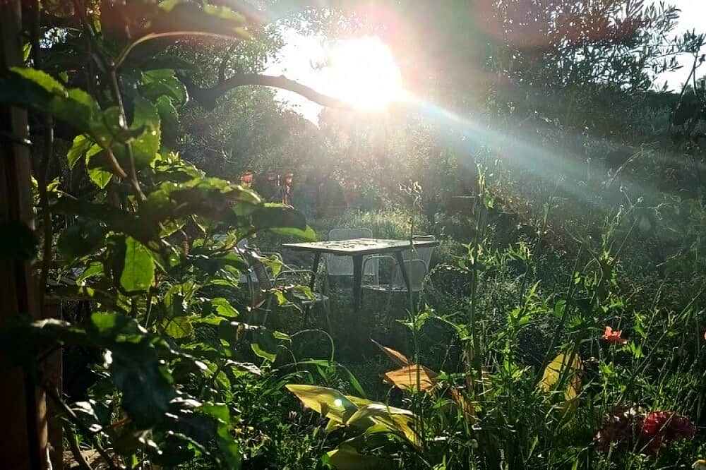 7 Day From Contraction to Expansion Somatic Dance Retreat, Spain 8