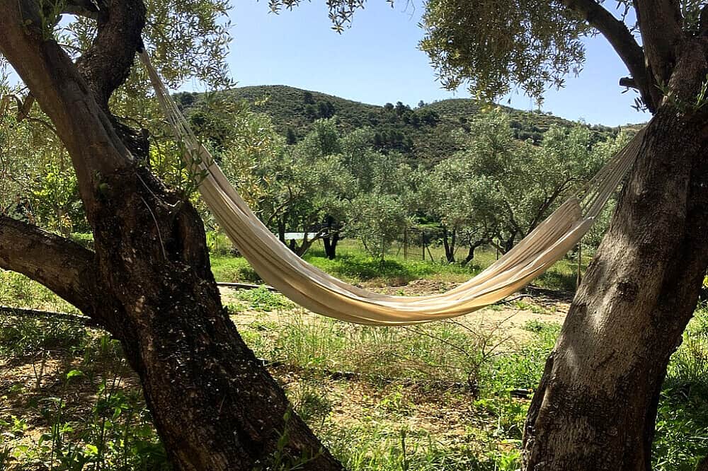 7 Day Awaken Your King: Private Retreat for Men in Spain 6